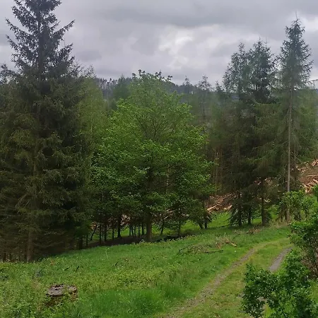 Waldhuette * Barigau